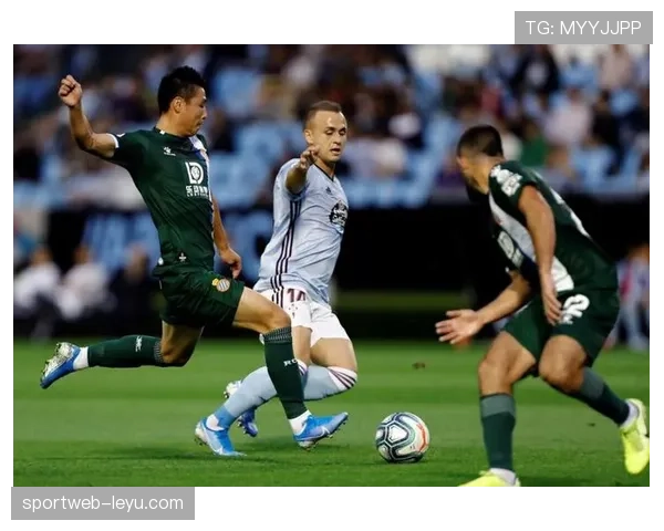 法马防线稳固助力地区安全局势持续向好，稳健表现引关注